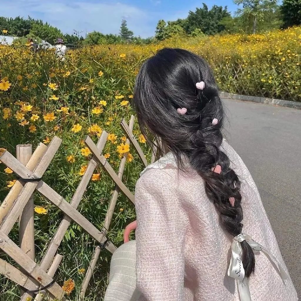 布查