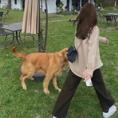 我的儿子是天使